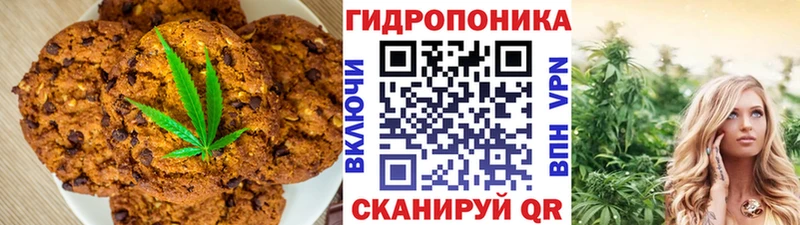 Купить где  Новосокольники  Canna-Cookies марихуана 