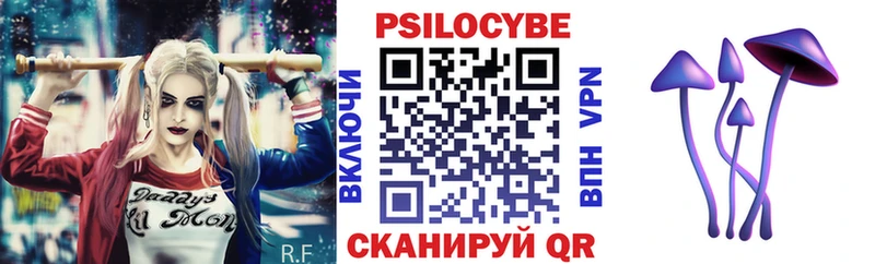 Купить где  Новосокольники  Галлюциногенные грибы GOLDEN TEACHER 